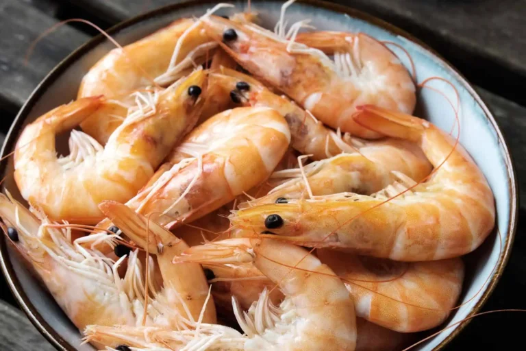 Close up photo of Shrimp in a bowl. It's all about shrimp, shrimp who know these tips