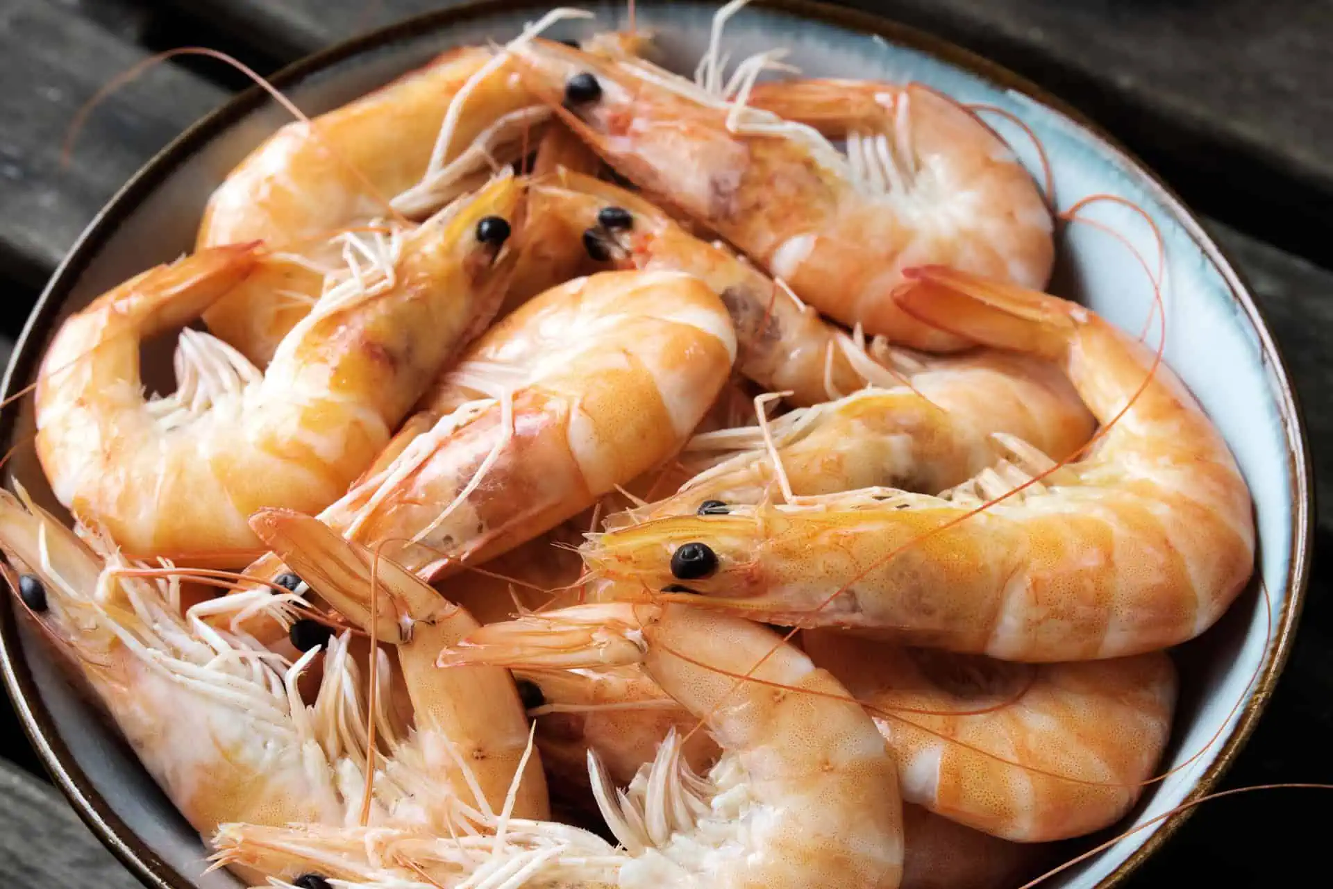 Close up photo of Shrimp in a bowl. It's all about shrimp, shrimp who know these tips