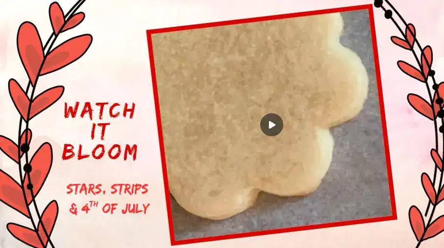 Placeholder image for a sugar cookie decorating video showing a plain flower-shaped cookie with the text “Watch It Bloom – Stars, Stripes & 4th of July.”