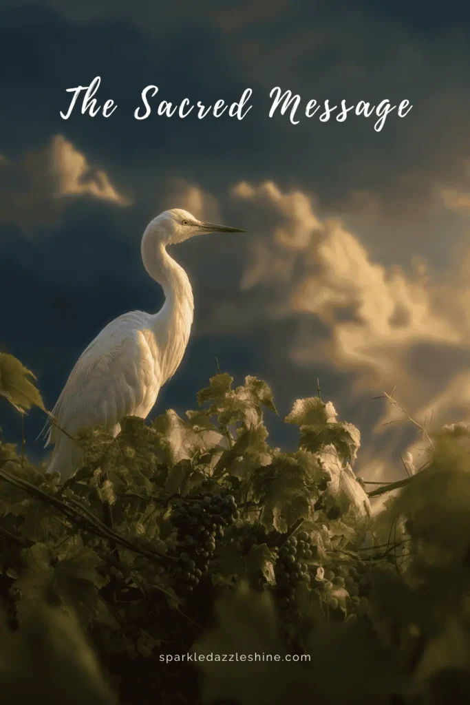 A single white crane resting in a vineyard. Pinterest pin